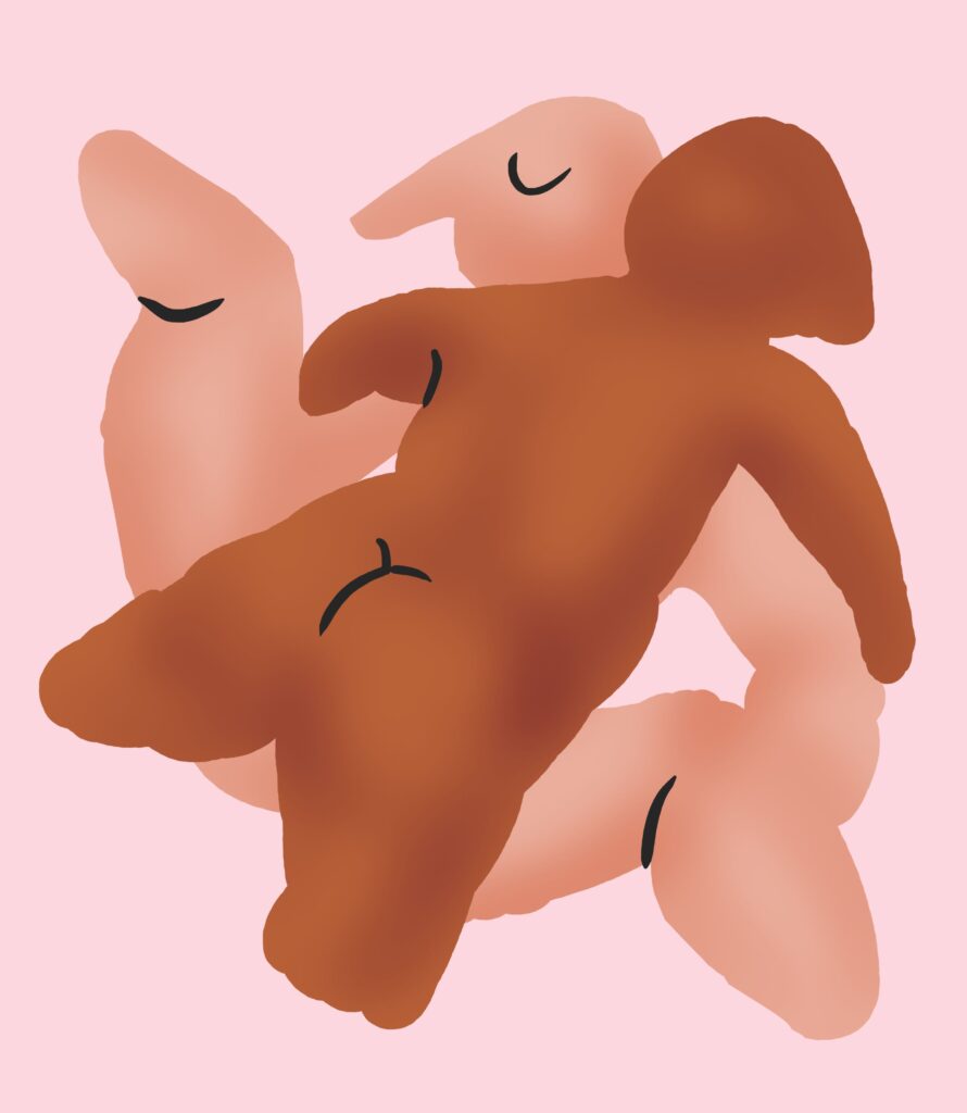 Die Illustration zeigt zwei Personen beim Sex in der Missionarstellung.