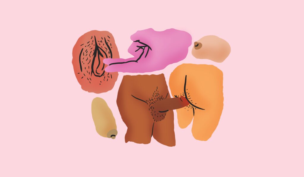 Das Bild zeigt bunte Zeichnungen von verschiedenen Körperteilen. Zu sehen sind Vulva, Penis, Po, Brüste und eine Hand. Die Körperteile sind nebeneinander angeordnet und zeigen sexuelle Vielfalt.